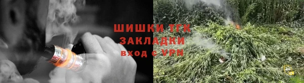 дмт Алзамай
