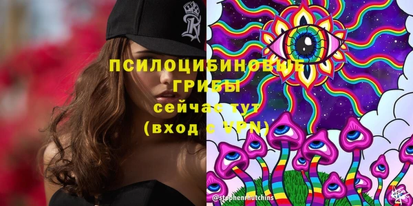 дмт Алзамай