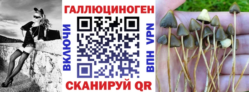 Галлюциногенные грибы ЛСД  дарнет шоп  Ставрополь 